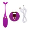 USB-charged wireless remote control vibrating egg, couple's fun touch fish tail small tadpole