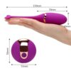 USB-charged wireless remote control vibrating egg, couple's fun touch fish tail small tadpole