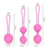 Yanai Wendy Y.OVE Kegel Ball Female Sex Toy Postpartum Silicone Vaginal Dumbbell Pelvic Floor Massage Ball Distribution