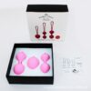 Yanai Wendy Y.OVE Kegel Ball Female Sexual Aids Postpartum Silicone Vaginal Dumbbell Pelvic Floor Massage Ball Delivery