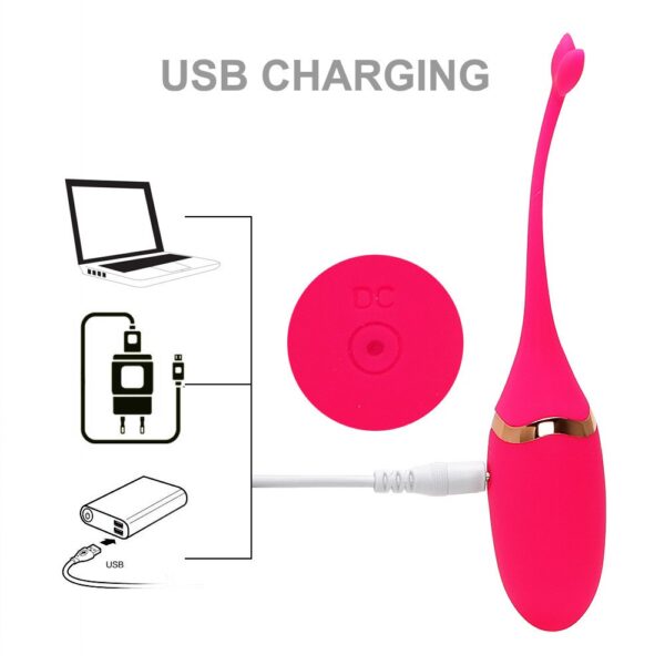 USB-charged wireless remote control vibrating egg, couple's fun touch fish tail small tadpole