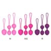 Yanai Wendy Y.OVE Kegel Ball Female Sexual Aids Postpartum Silicone Vaginal Dumbbell Pelvic Floor Massage Ball Delivery